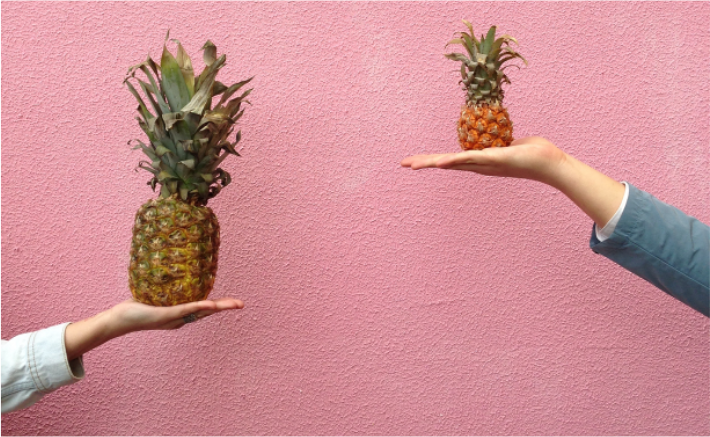 A big pineapple being held next to, and compared to, a much smaller pineapple.